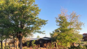 A rustic cabin with a sloped roof, surrounded by lush greenery and trees.