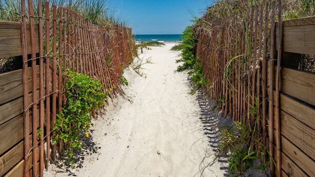 A sandy beach path flanked by wooden fences with vegetation. - Stunning First Floor Condo, Direct Beach Access! Two Pools, One Heated Pool, $300 in Free Tickets! (St. Augustine Beach)
