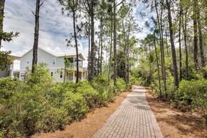 A pathway leading to a residential building surrounded by tall pine trees.