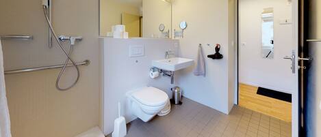 A modern bathroom with a shower, toilet, sink, and mirror.