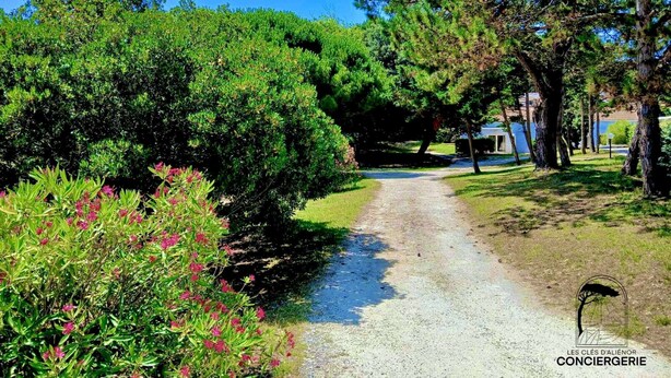Ein Kiesweg führt durch einen Garten mit üppiger Vegetation und einem kleinen Wasserspiel.