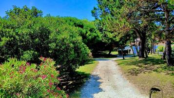 Enceinte de lâhĂ©bergement