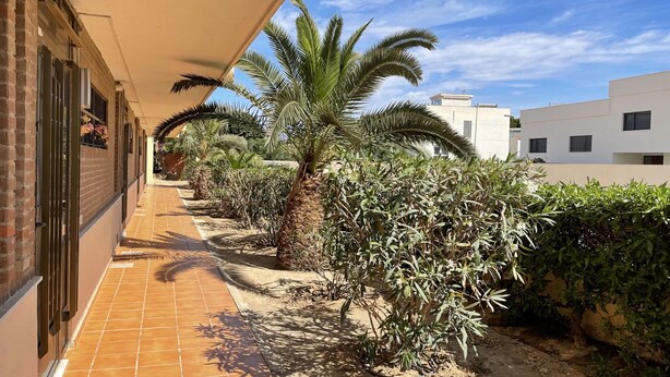 A covered outdoor corridor with tiled flooring, palm trees, and a brick building on one side.