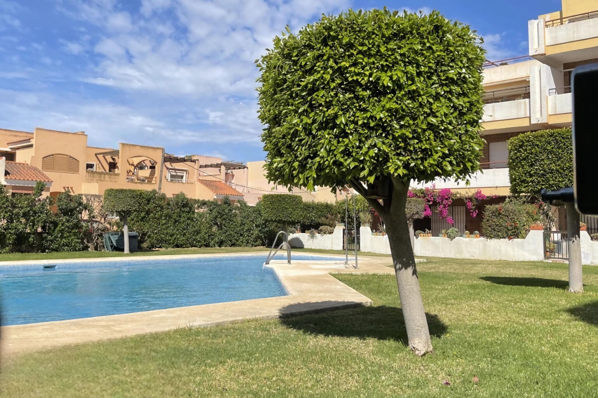 A swimming pool with a tree in the foreground, surrounded by well-maintained lawns and a building with balconies in the background.
