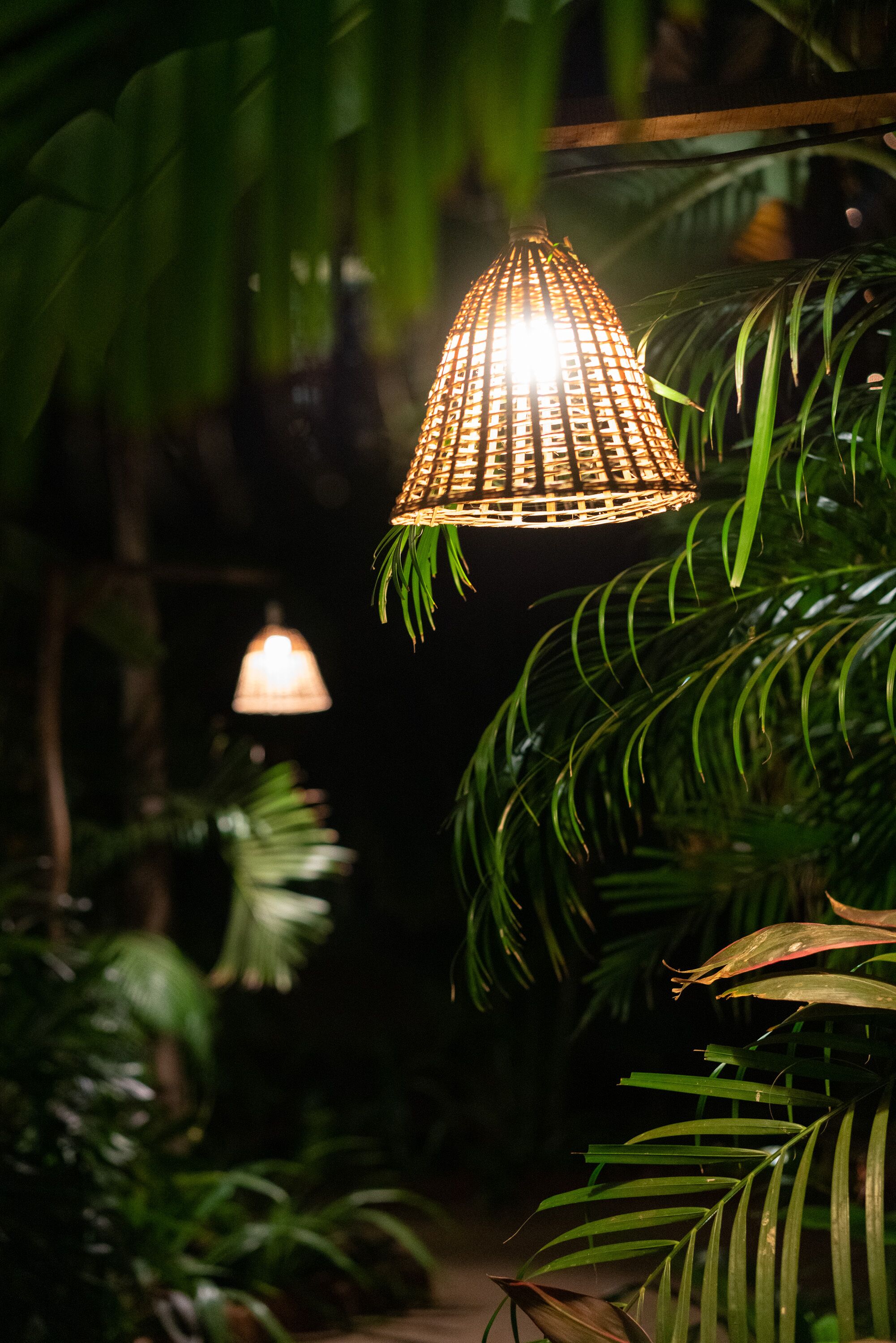A hanging light fixture in a lush, green indoor setting.