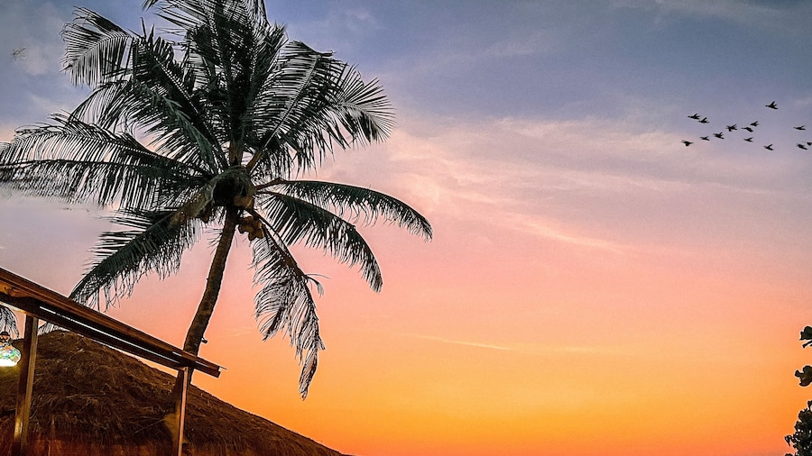 那兰达度假胜地果阿