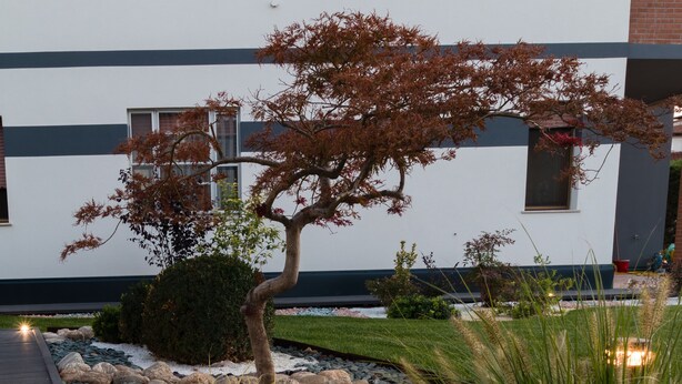 A landscaped garden with a variety of plants and rocks, a wooden pathway, and a building with a modern design in the background. - Le Nazioni B&B (Comacchio)