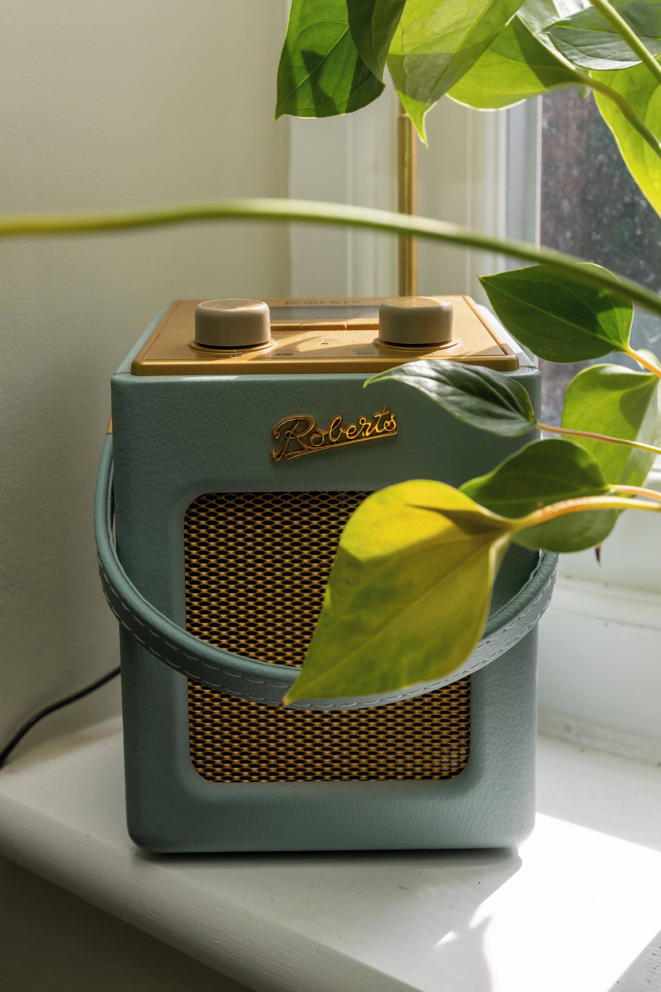 Ein altes Radio auf einer Fensterbank, im Vordergrund eine Pflanze.