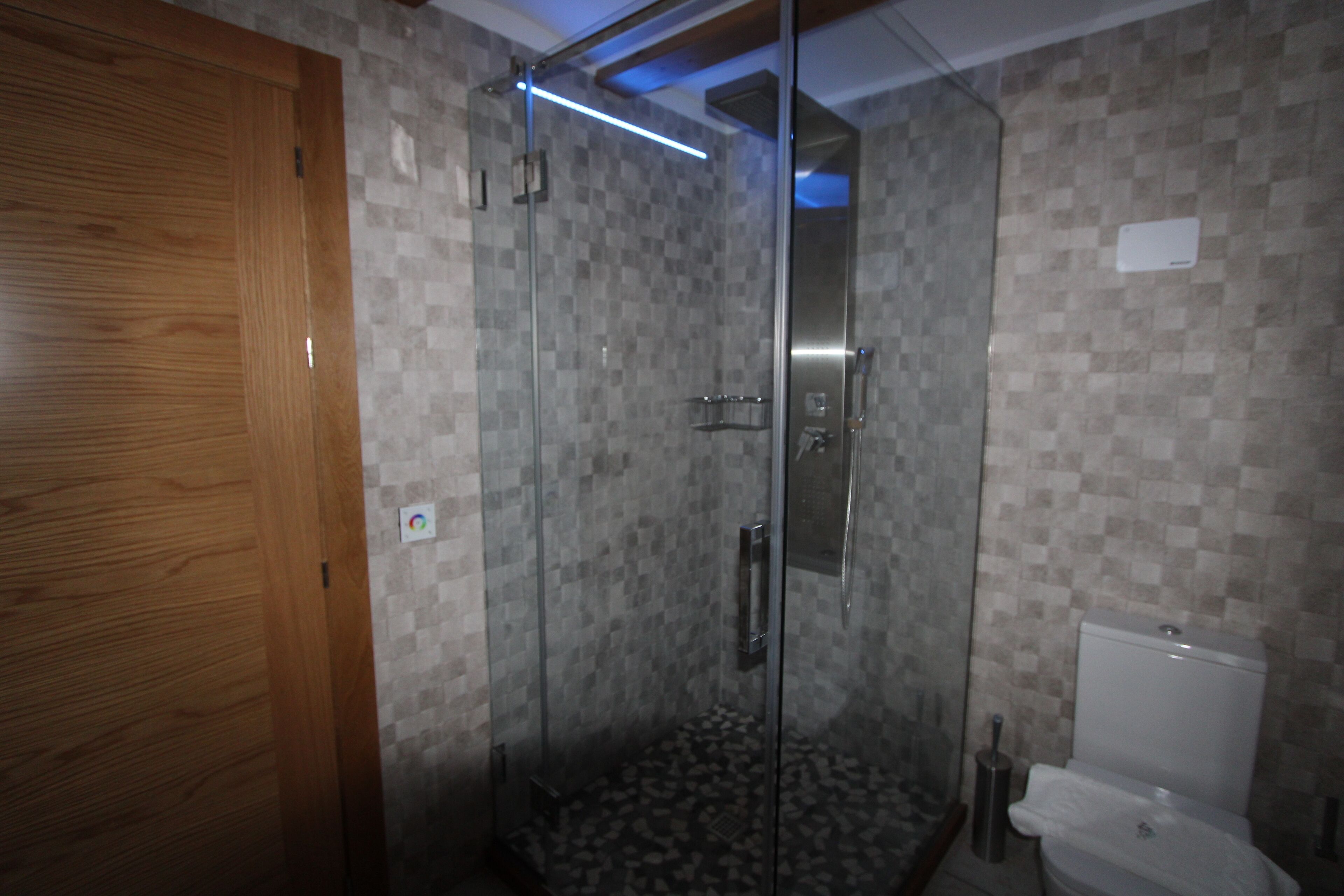 A modern bathroom with a glass-enclosed shower, a wooden door, and a tiled wall.