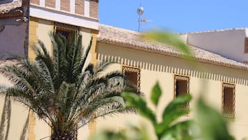 Un edificio con techo de tejas, una antena parabólica y una palmera en primer plano.