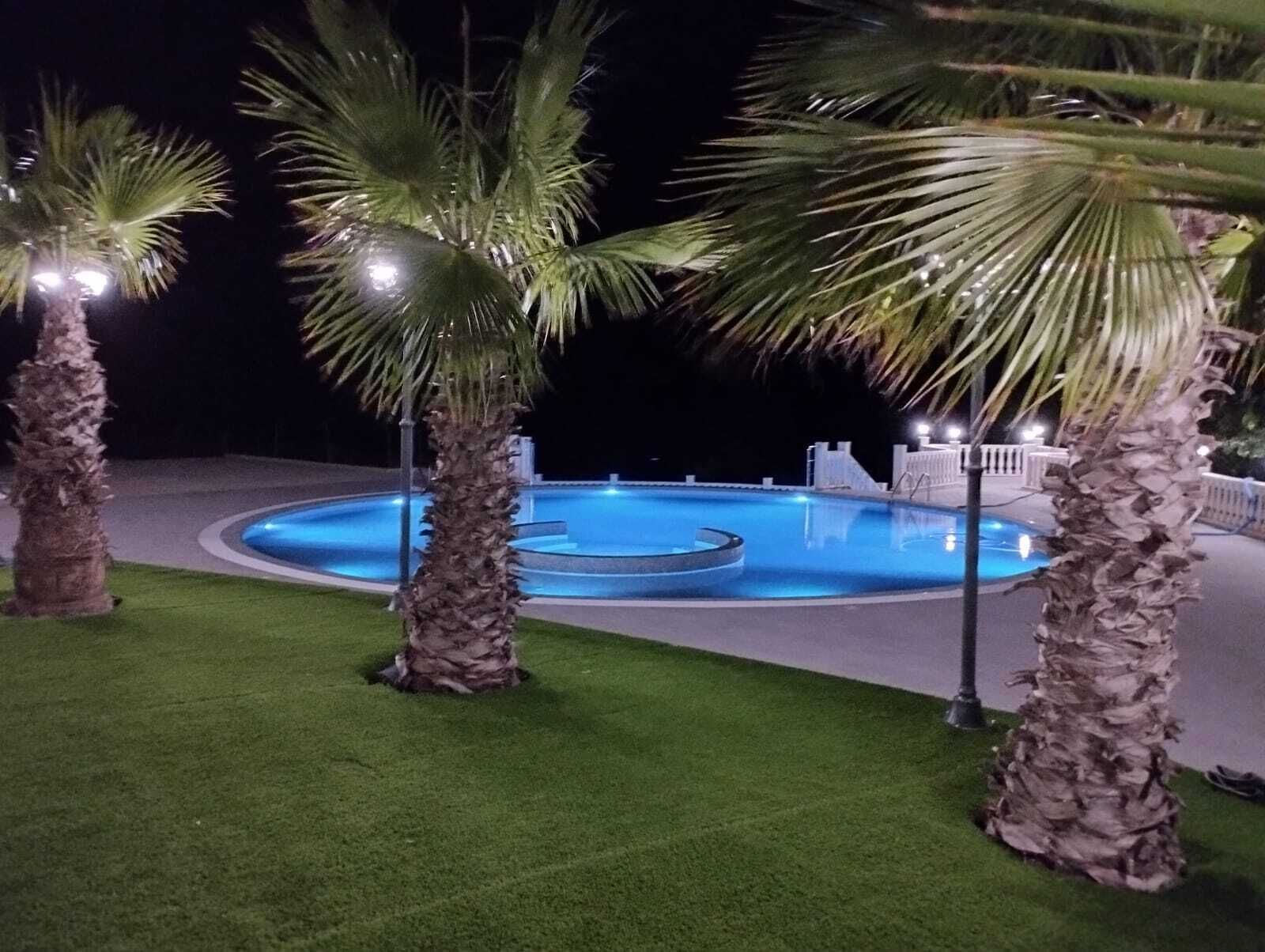 Una piscina rodeada de palmeras y una valla blanca de noche.