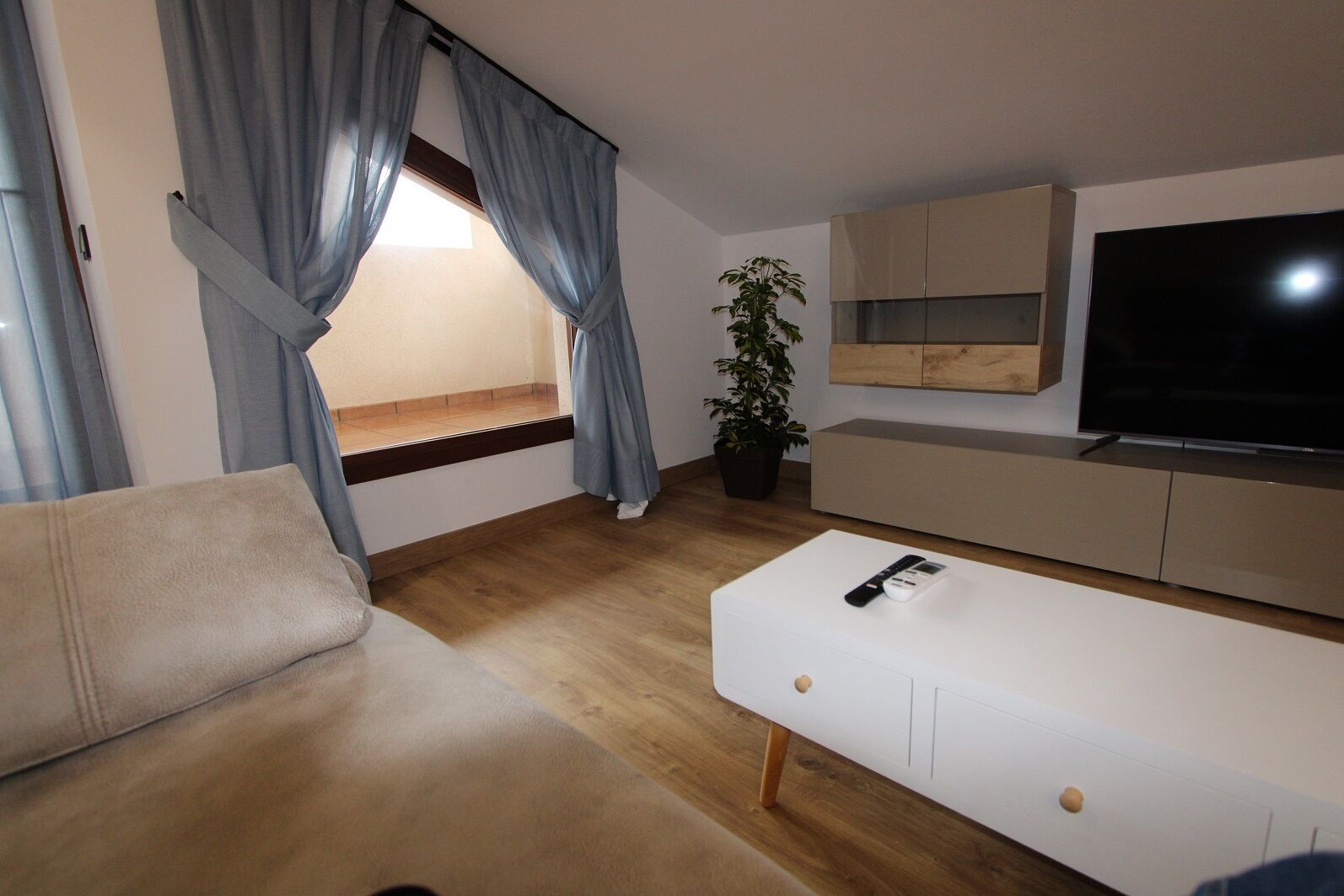 A modern living room with a sofa, TV, and a plant.