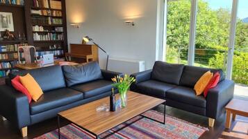 TV, fireplace, DVD player