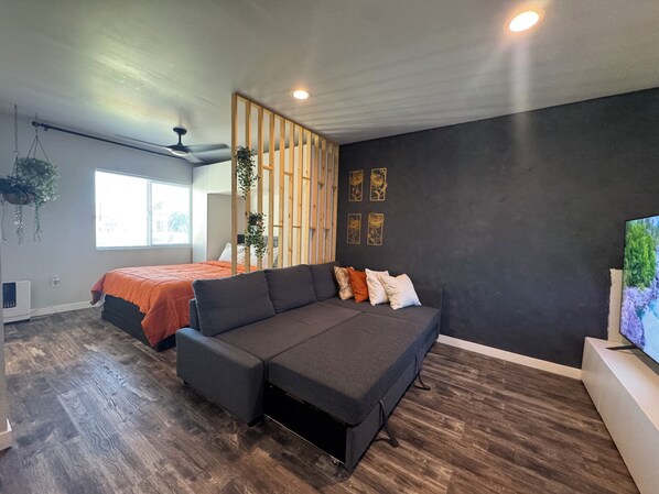 Smart TV, computer monitors