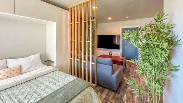 Ein Schlafzimmer mit einem Bett, einem Fernseher, einer Couch und einer großen Pflanze.