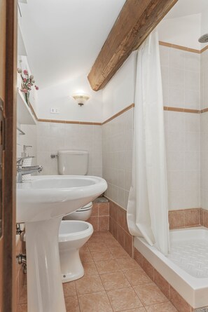 Shower, hair dryer, bidet, towels