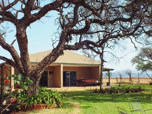 Phòng đôi (Rhino) | Trang trí khác biệt, bàn, khu vực làm việc phù hợp cho laptop 