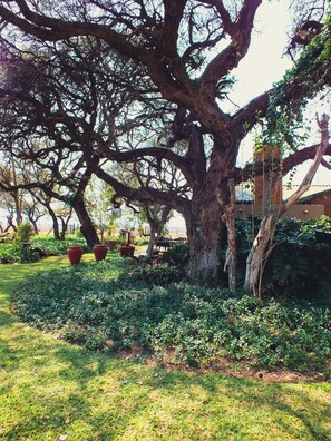 Individually decorated, desk, laptop workspace, free WiFi - White Silo Accommodation (Thabazimbi)