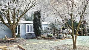 A residential garden with a variety of trees, a bench, and a house in the background. - 1 Bed Cottage-museum View-garden-free Parking (Weybridge)