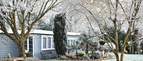 A residential garden with a variety of trees, a bench, and a house in the background.