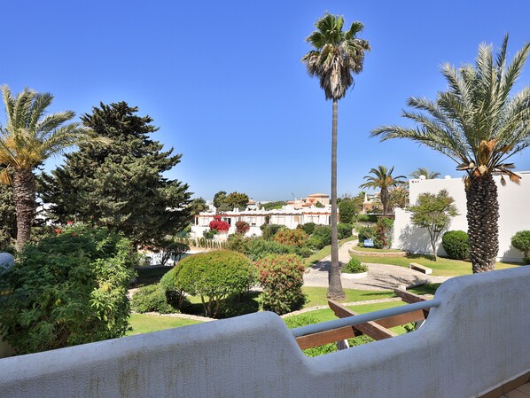 A view of a landscaped garden with palm trees, a pathway, and a building in the background.