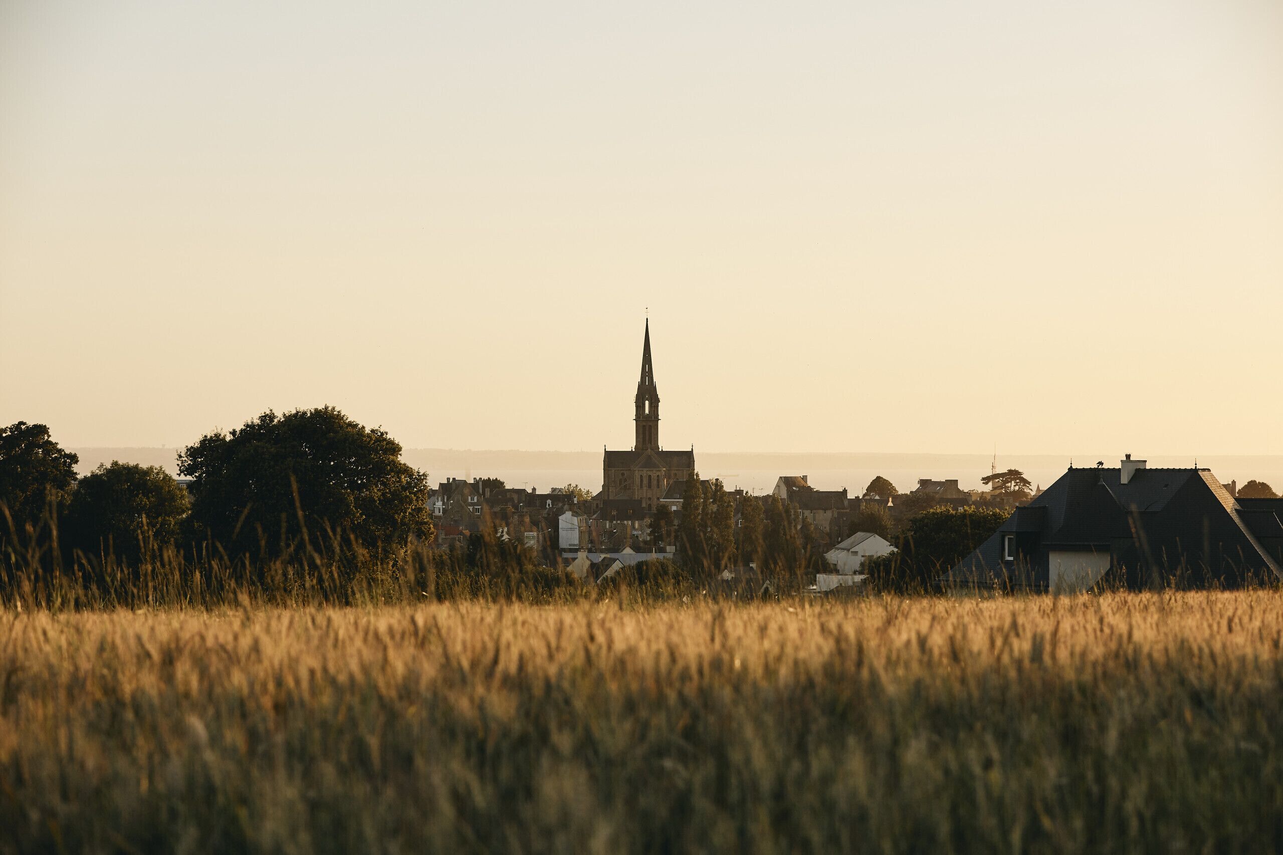 Eine Kirche mit einem hohen Kirchturm in einer Stadt.