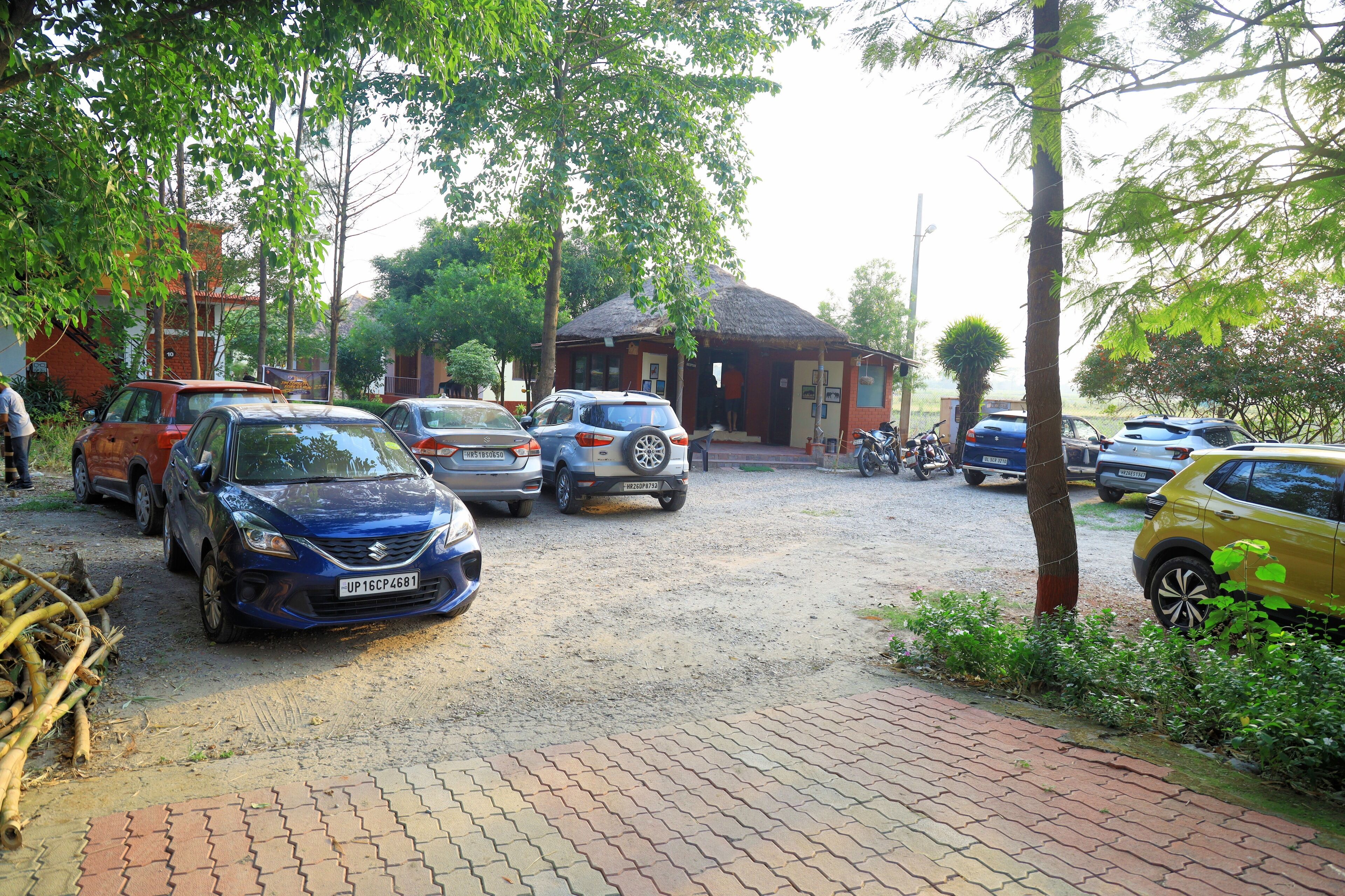 A parking area with several cars parked, a building with a thatched roof, and trees in the background.