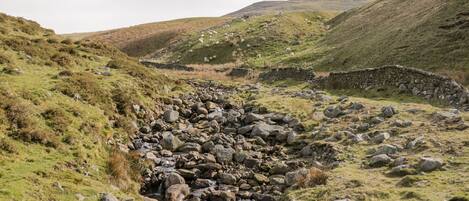 A rocky stream in a hilly landscape with sheep grazing in the background.