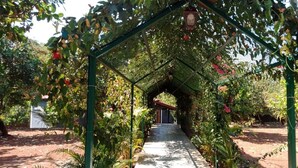 A covered walkway with a metal frame and hanging lanterns, surrounded by lush greenery and flowering plants. - D Star Entertainment Water ParkAndResort (Chiplun)