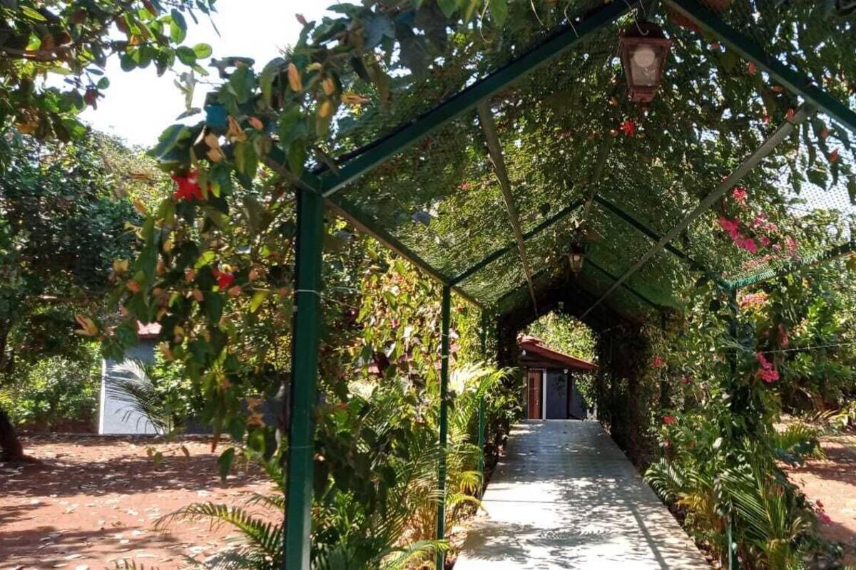 A covered walkway with a metal frame and hanging lanterns, surrounded by lush greenery and flowering plants.
