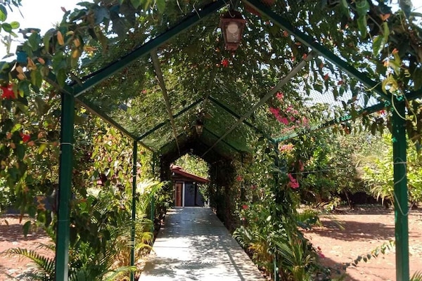 Habitación Gallery