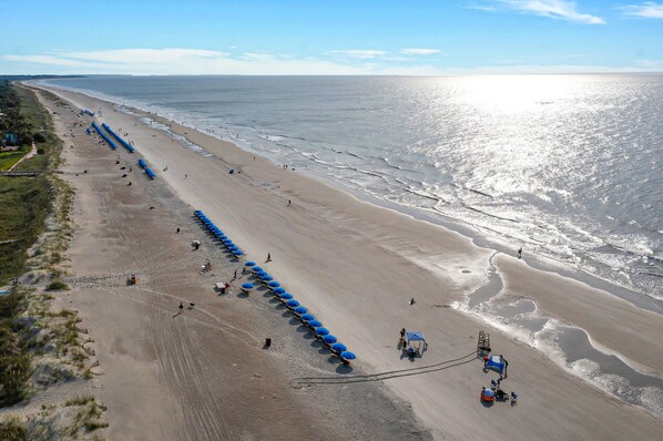 Vista aérea de una playa con hileras de sombrillas azules y sillas, una orilla arenosa y el océano al fondo.