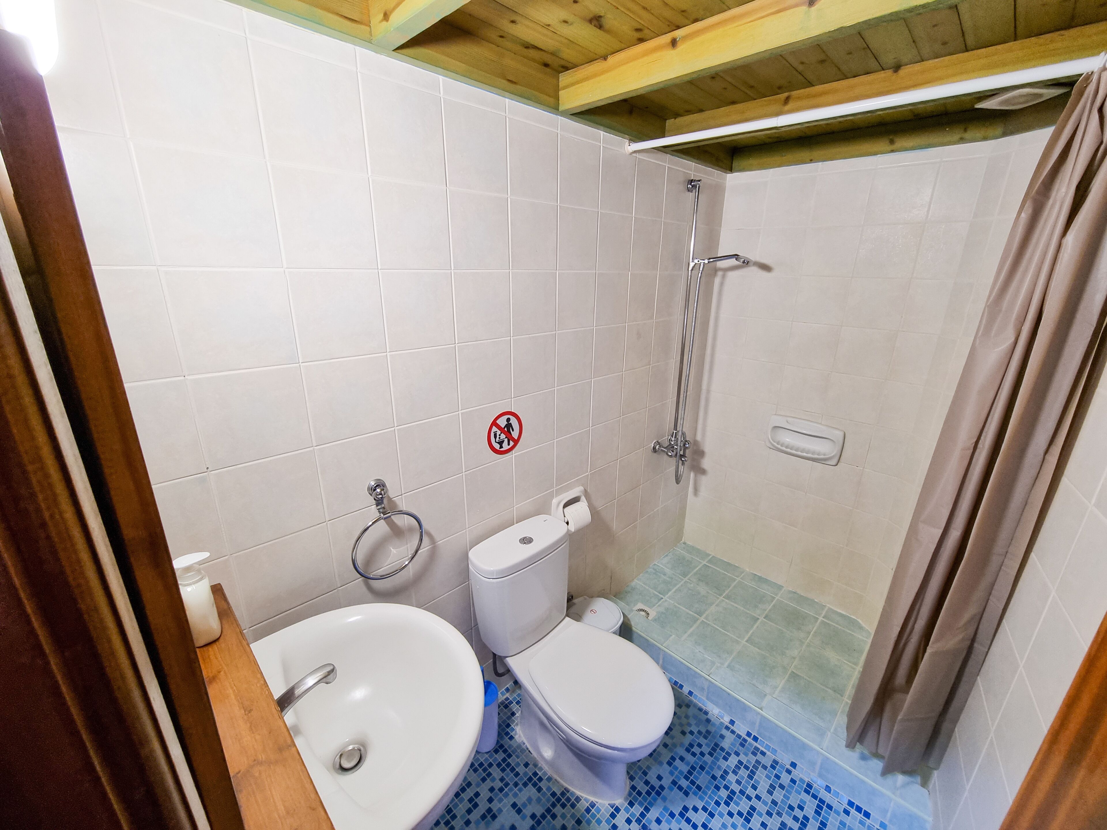 Un bagno con doccia, WC e lavandino.
