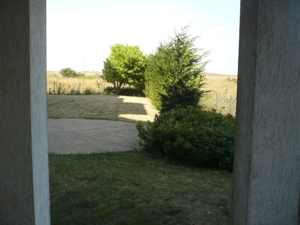 Vista a través de una puerta a un espacio verde con un sendero de tierra que conduce a árboles.