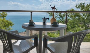 全景公寓 | 露台/庭院