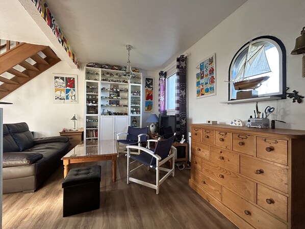 Télévision, lecteur de DVD, livres