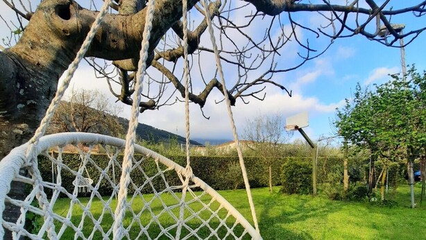 Une chaise en osier blanche avec un coussin, un livre ouvert et une balançoire en corde suspendue à une branche d’arbre.
