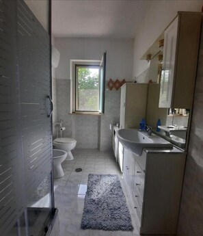 Shower, hair dryer, bidet, towels