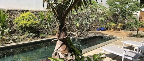 Piscine extérieure