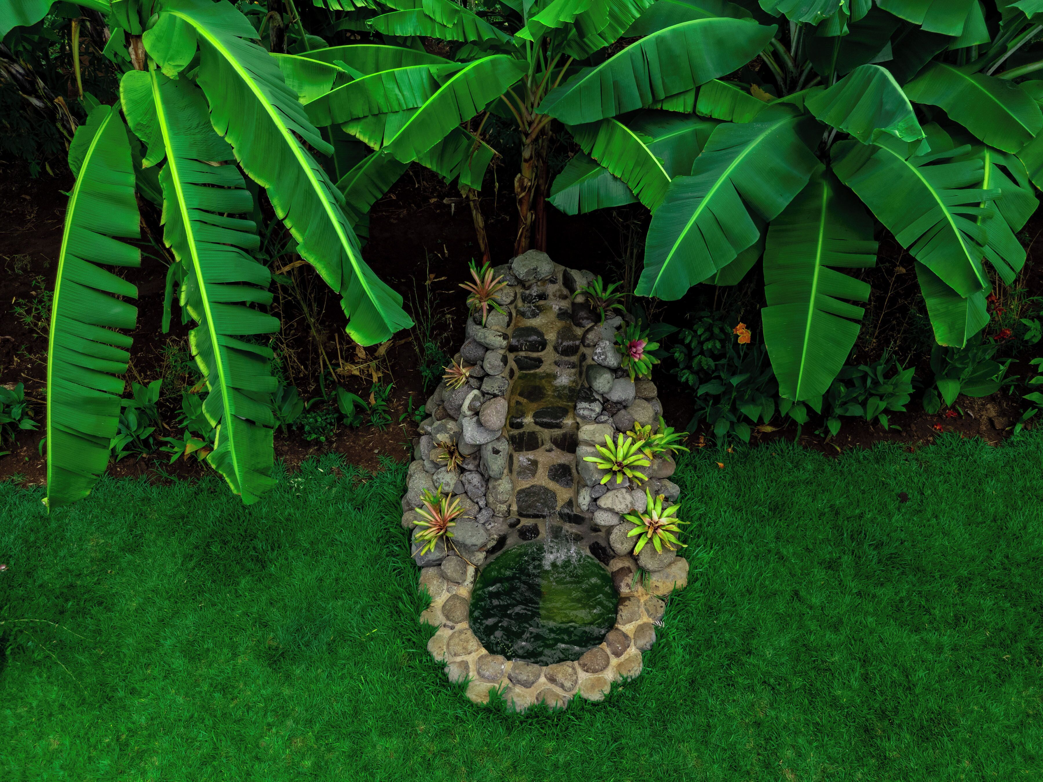 Un jardin agrémenté d’une fontaine en pierre, entouré d’une végétation luxuriante et de bananiers.
