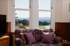 Televisión y chimenea 