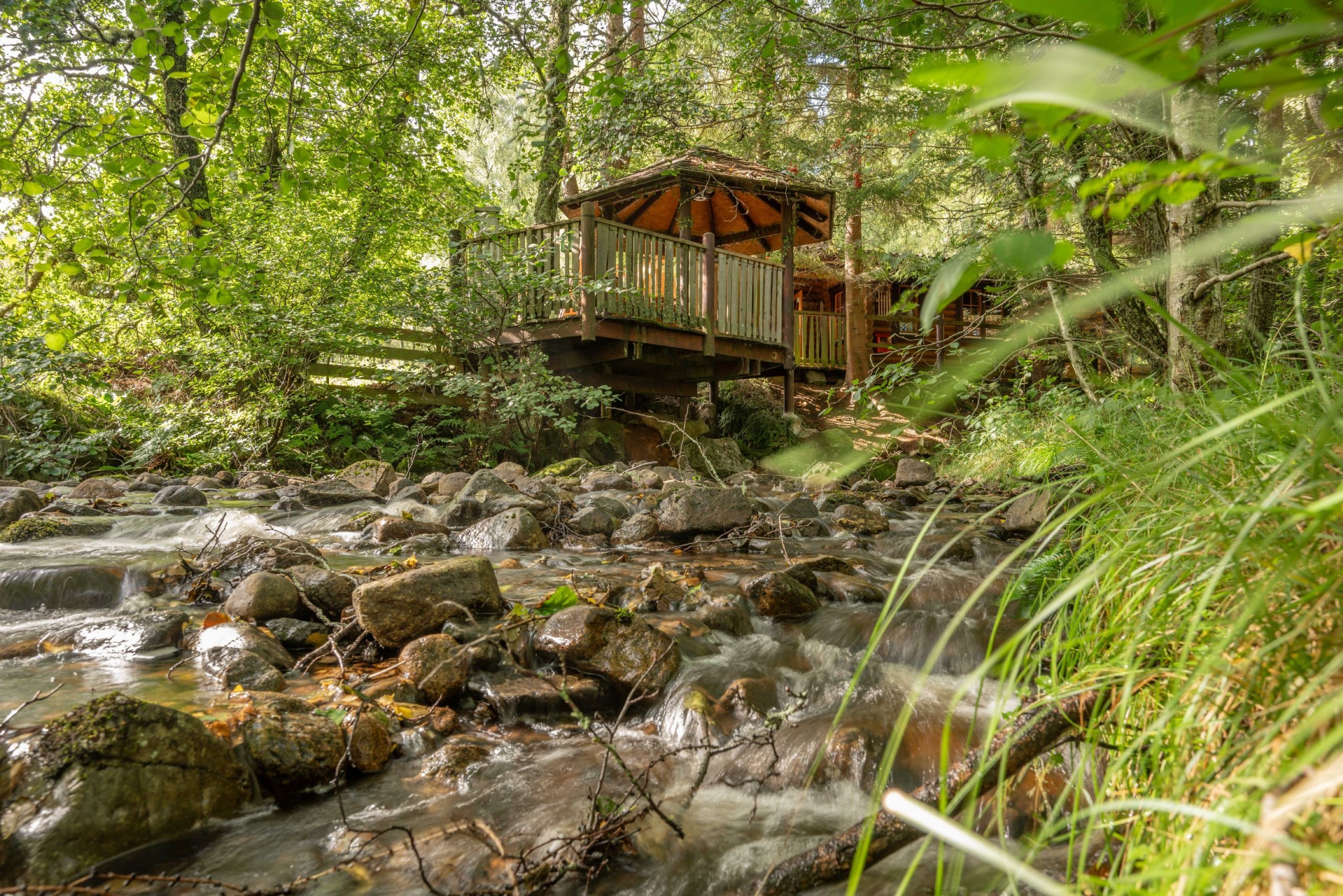 A wooden bridge over a flowing stream in a forested area.