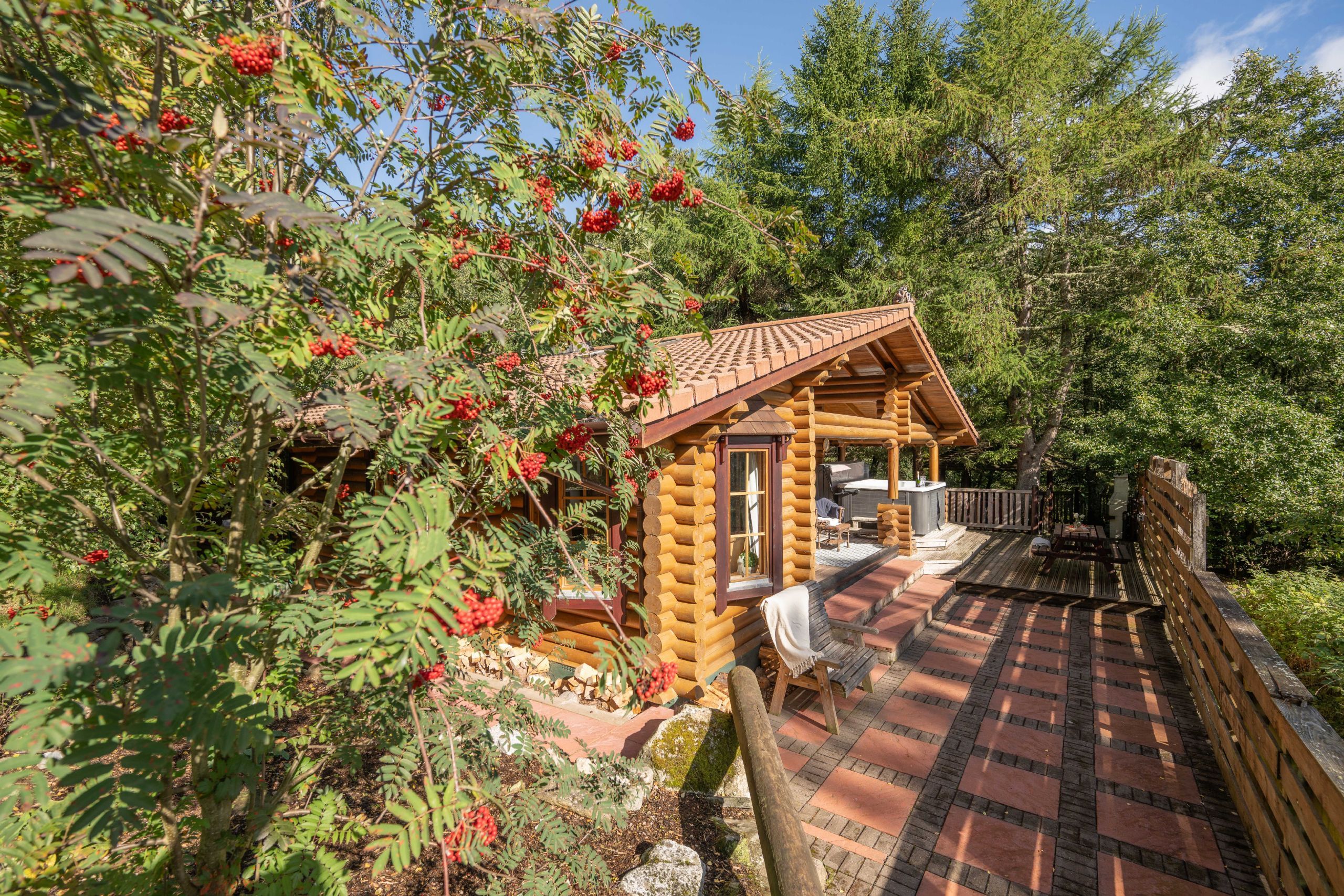 A wooden cabin with a tiled deck, surrounded by trees and red berries.