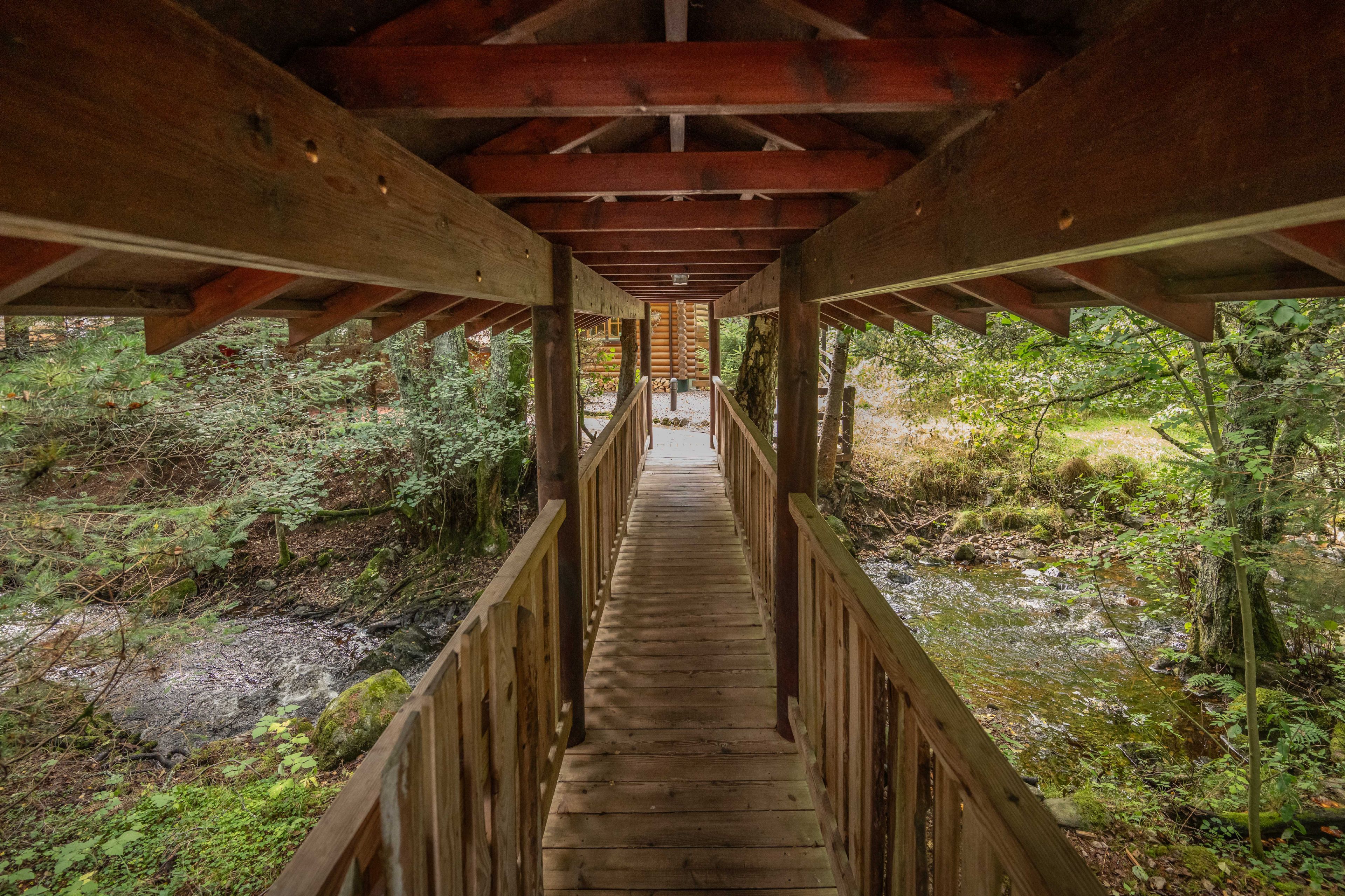A wooden bridge leading through a forested area with a clear path.