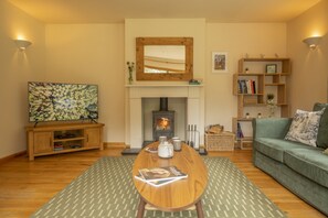 Smart TV, fireplace, DVD player, video library