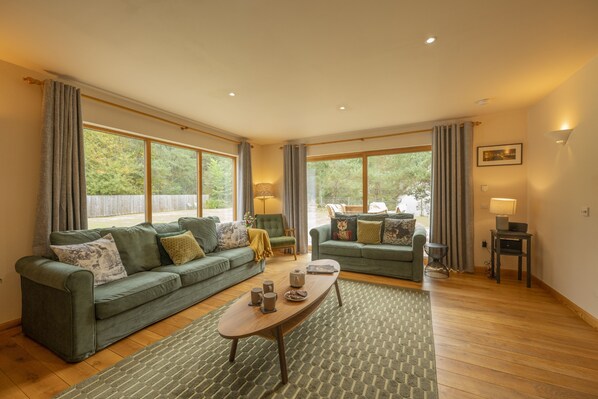 Smart TV, fireplace, DVD player, video library