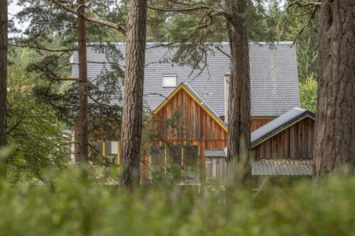 Forest Trail Lodge -  a house that sleeps 9 guests  in 3 bedrooms