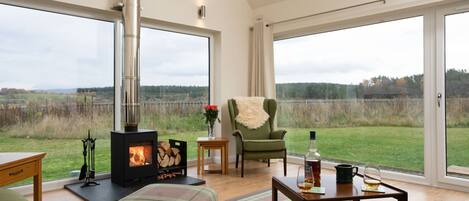 Smart TV, fireplace, books