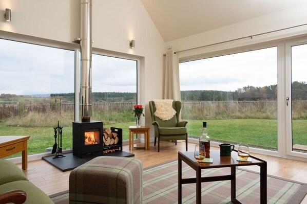 Smart TV, chimenea y libros 