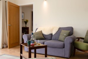 TV connectée, cheminée, livres